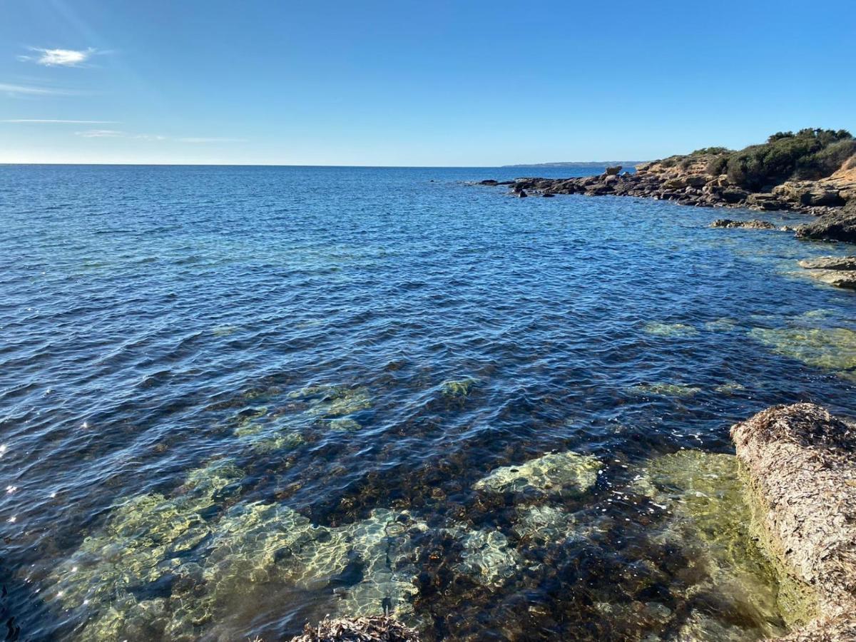 I Fenicotteri - Appartamenti Sul Mare Calasetta Exterior photo